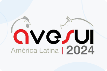 23 - е издание AveSui латинская Америка